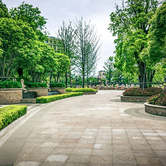 Tree Lined Pathways